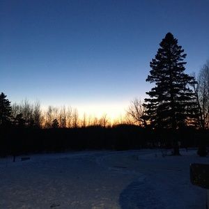 Meet your Posher, Lila